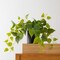 Faux Plants in Black Ceramic Pot, Artificial Plants for Home Decor Indoor, Ivy Small Fake Plants - Fake Plants Decor, Green Plants Artificial Décor, Artificial Plant for Indoor and Outdoor
